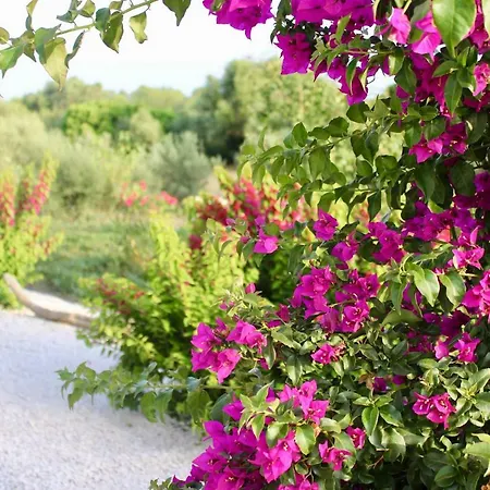 Luxury Country By Sardiniagem, Walk To Beach Villa